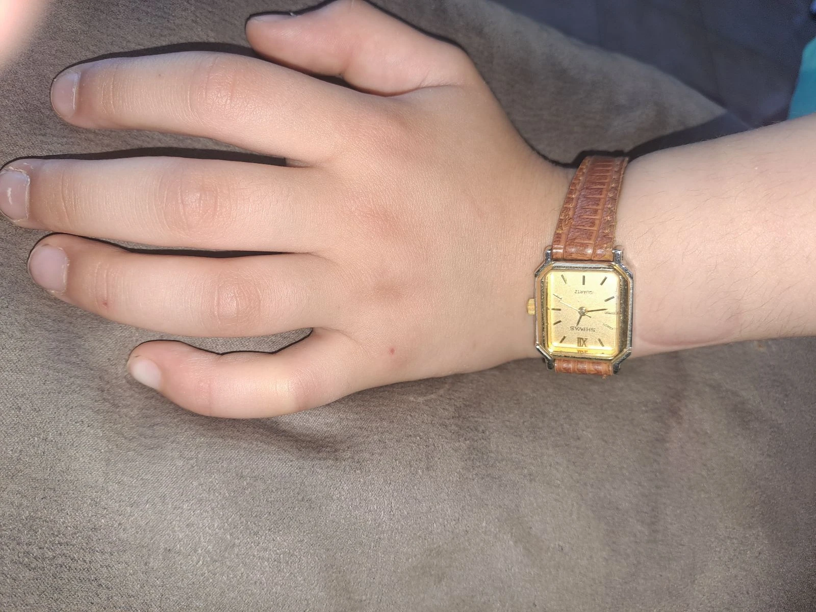 Montre Shivas